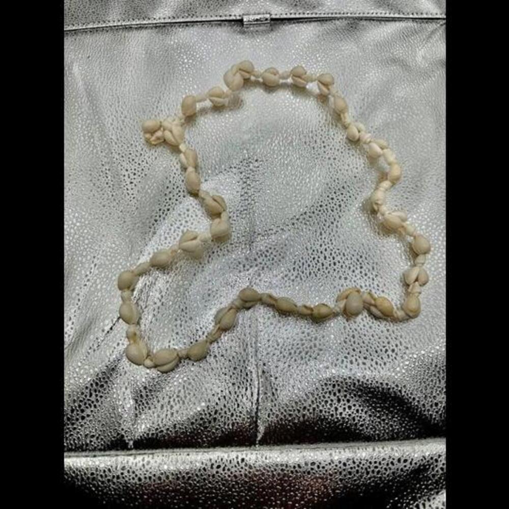 Natural Cowrie Shell Necklace